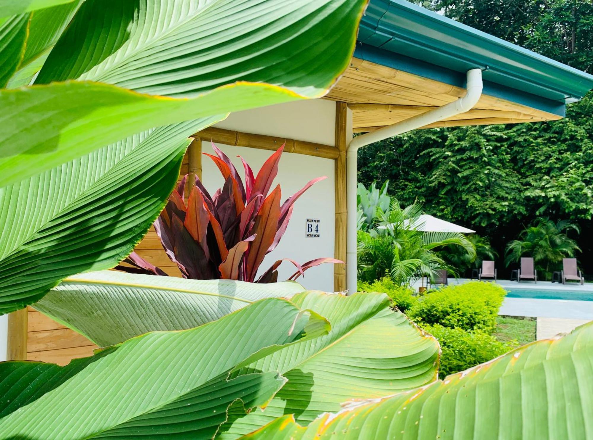 Bambura Bahia Villas ウビタ エクステリア 写真
