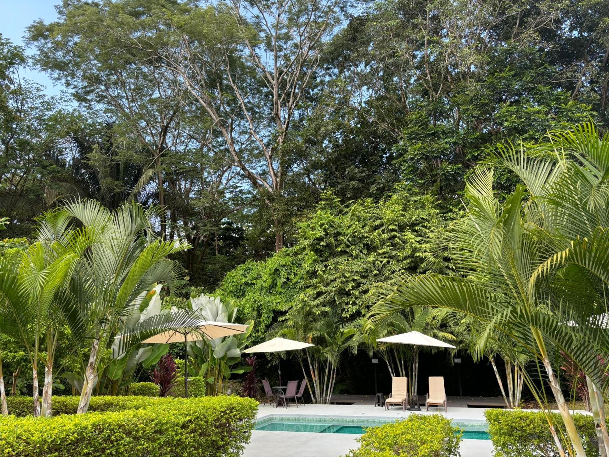 Bambura Bahia Villas ウビタ エクステリア 写真